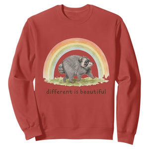 Cute Viral Raccoon Positive Quote Sweatshirt Different Is Beautiful Pastel Rainbow Graphic TS02 Red Print Your Wear