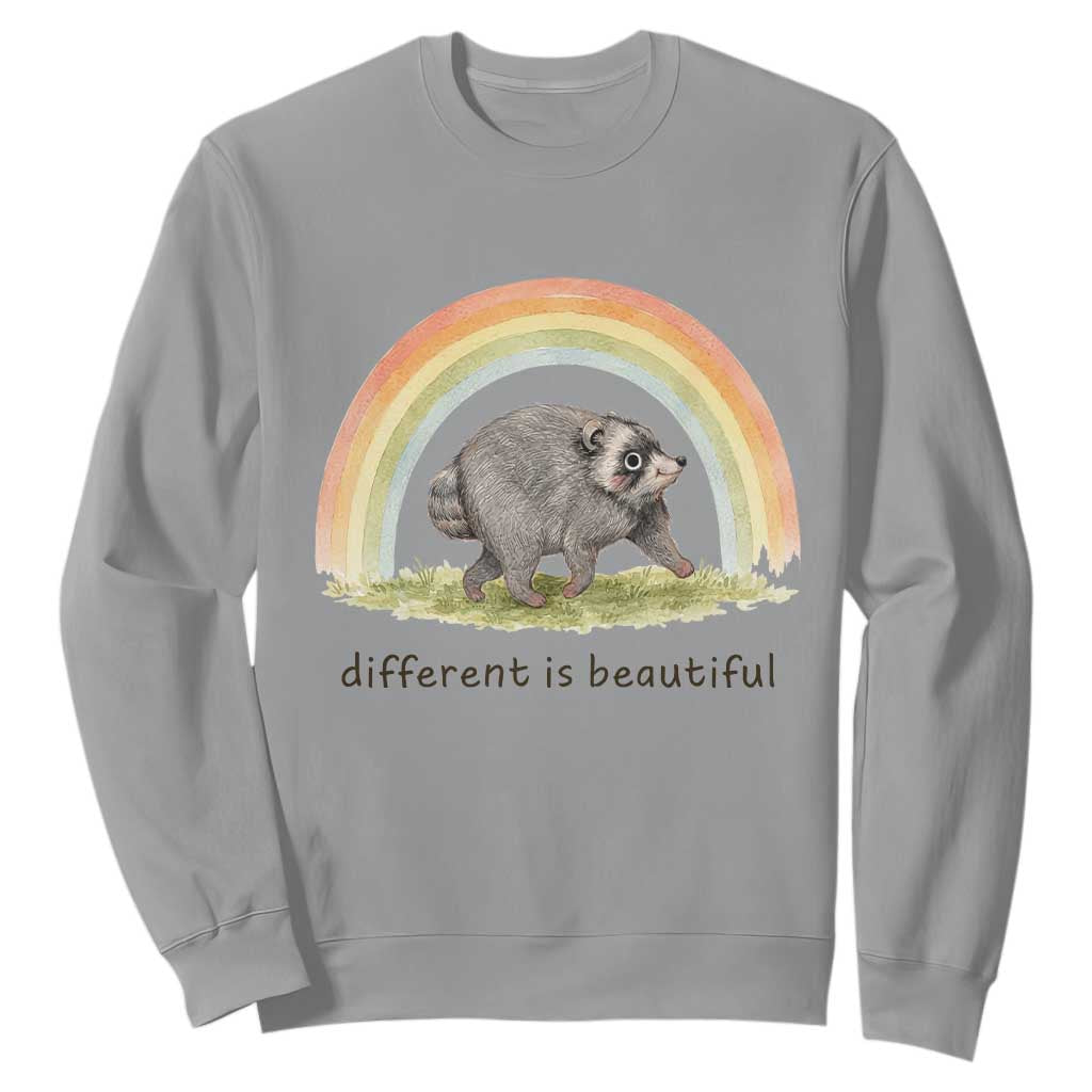 Cute Viral Raccoon Positive Quote Sweatshirt Different Is Beautiful Pastel Rainbow Graphic TS02 Sport Gray Print Your Wear