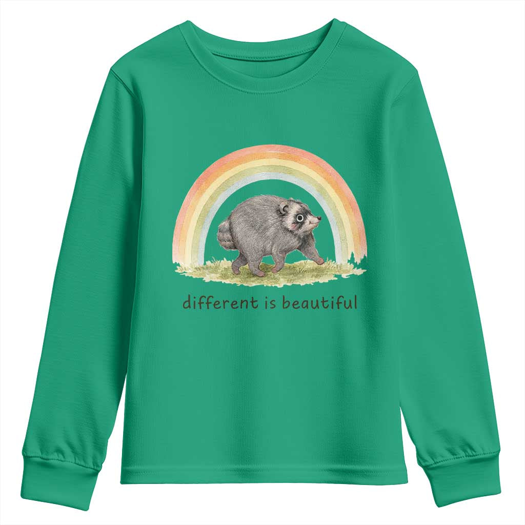 Cute Viral Raccoon Positive Quote Youth Sweatshirt Different Is Beautiful Pastel Rainbow Graphic TS02 Irish Green Print Your Wear