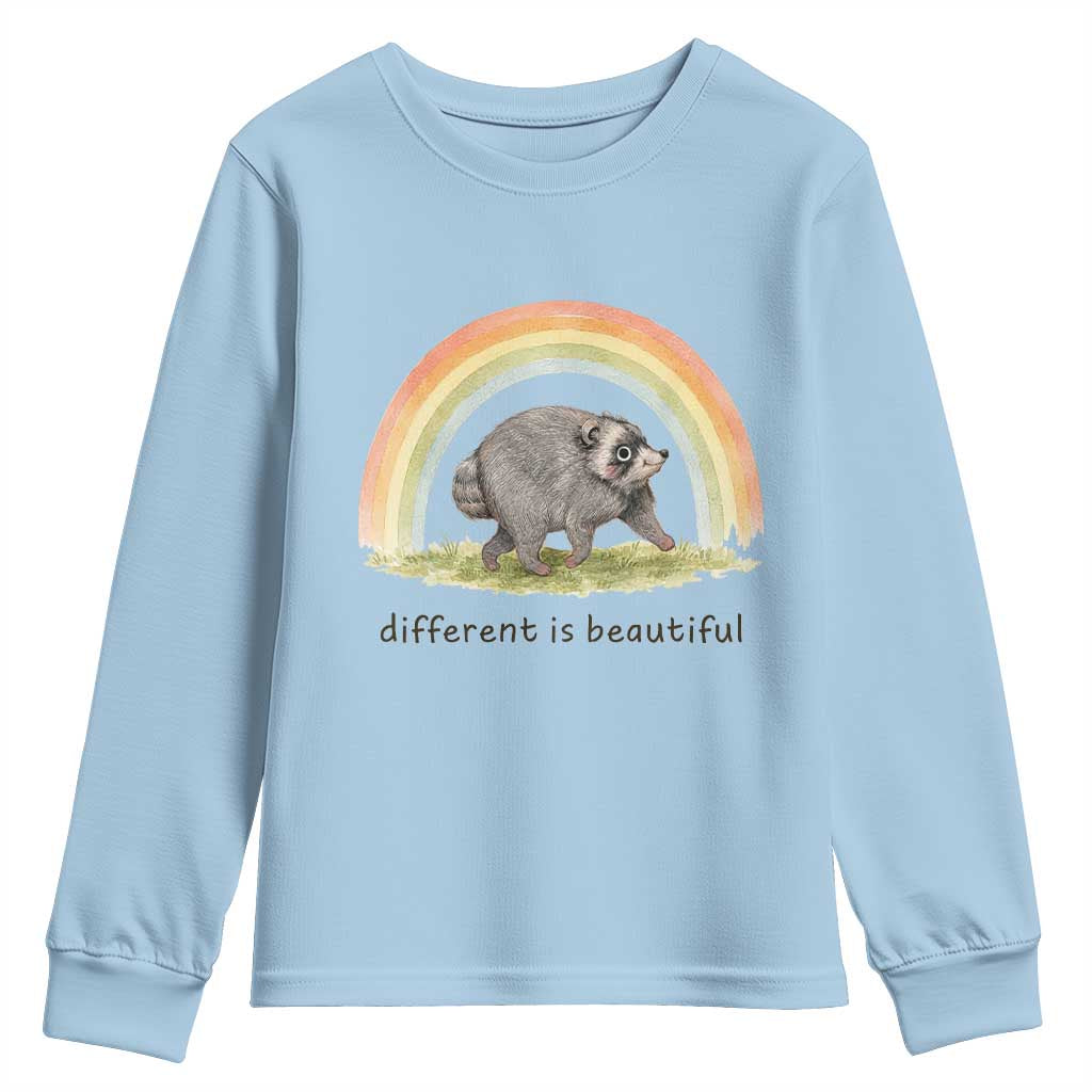 Cute Viral Raccoon Positive Quote Youth Sweatshirt Different Is Beautiful Pastel Rainbow Graphic TS02 Light Blue Print Your Wear