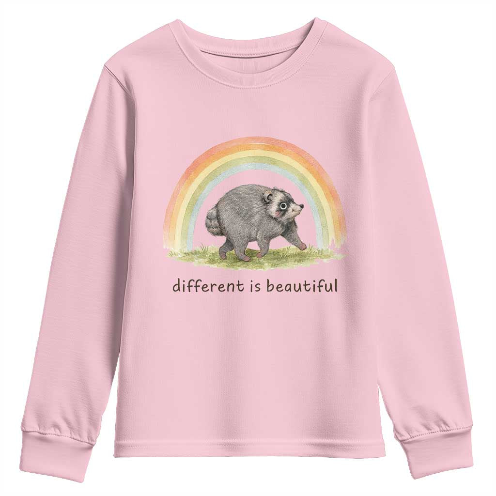 Cute Viral Raccoon Positive Quote Youth Sweatshirt Different Is Beautiful Pastel Rainbow Graphic TS02 Light Pink Print Your Wear
