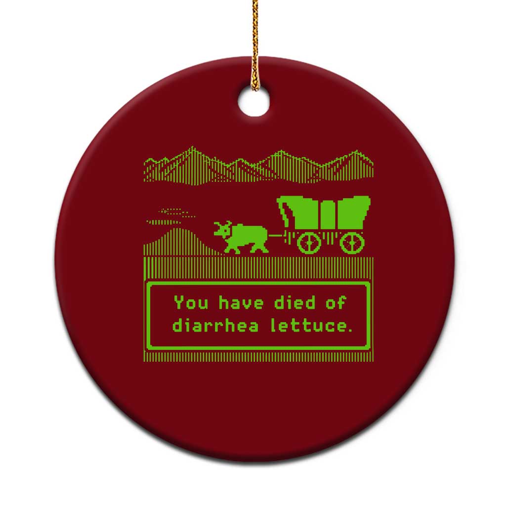 Retro 8-Bit Pixel 80s Game Over Parody Graphic Ceramic Ornament You Have Died Of Diarrhea Lettuce TS02 1pc Red Print Your Wear