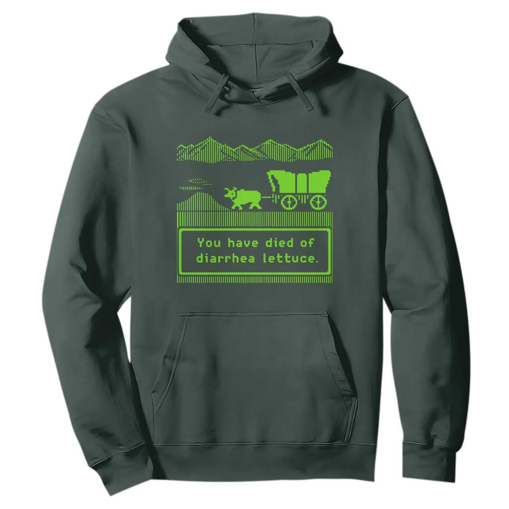 Retro 8-Bit Pixel 80s Game Over Parody Graphic Hoodie You Have Died Of Diarrhea Lettuce