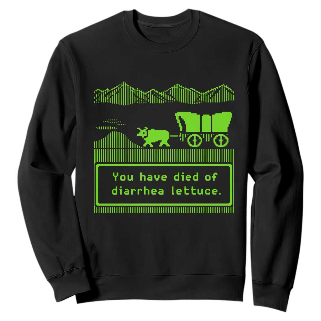 Retro 8-Bit Pixel 80s Game Over Parody Graphic Sweatshirt You Have Died Of Diarrhea Lettuce TS02 Black Print Your Wear