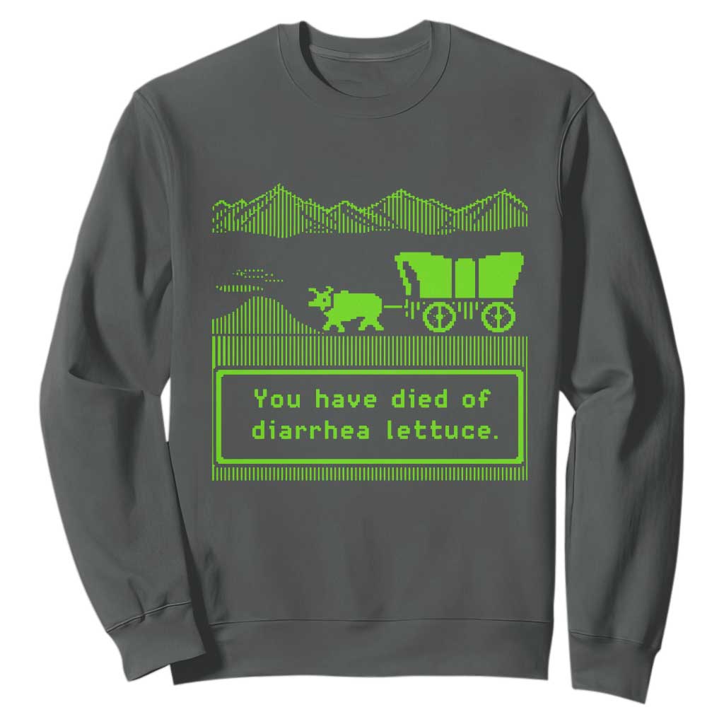 Retro 8-Bit Pixel 80s Game Over Parody Graphic Sweatshirt You Have Died Of Diarrhea Lettuce