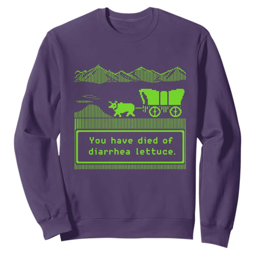 Retro 8-Bit Pixel 80s Game Over Parody Graphic Sweatshirt You Have Died Of Diarrhea Lettuce
