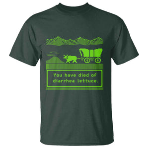 Retro 8-Bit Pixel 80s Game Over Parody Graphic T Shirt You Have Died Of Diarrhea Lettuce