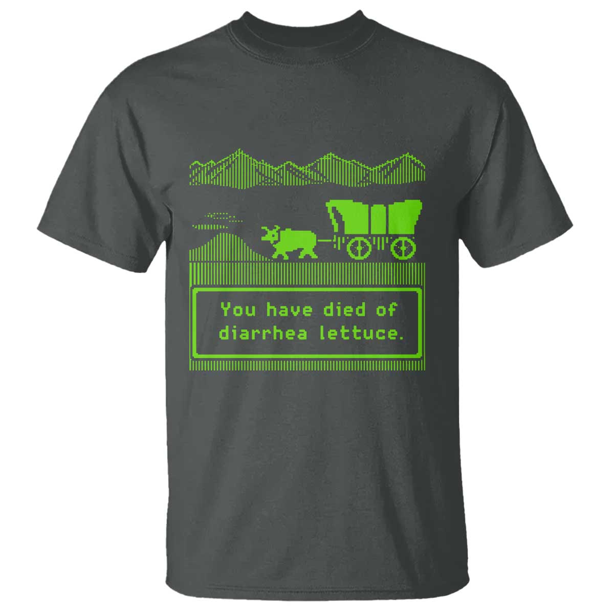 Retro 8-Bit Pixel 80s Game Over Parody Graphic T Shirt You Have Died Of Diarrhea Lettuce