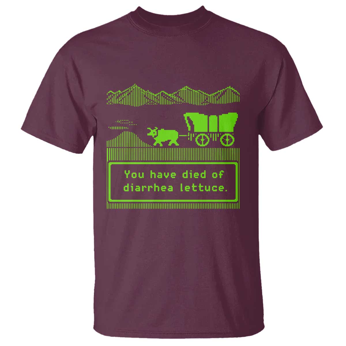 Retro 8-Bit Pixel 80s Game Over Parody Graphic T Shirt You Have Died Of Diarrhea Lettuce