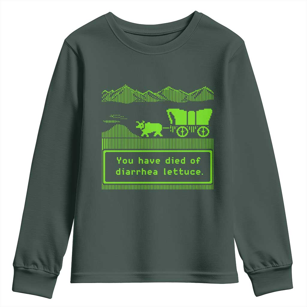 Retro 8-Bit Pixel 80s Game Over Parody Graphic Youth Sweatshirt You Have Died Of Diarrhea Lettuce