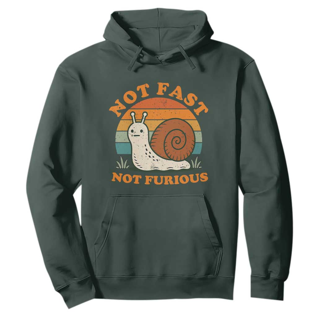 Funny Snail Introvert Slow Living Hoodie Not Fast Not Furious Retro Sunset