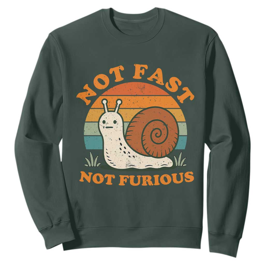 Funny Snail Introvert Slow Living Sweatshirt Not Fast Not Furious Retro Sunset