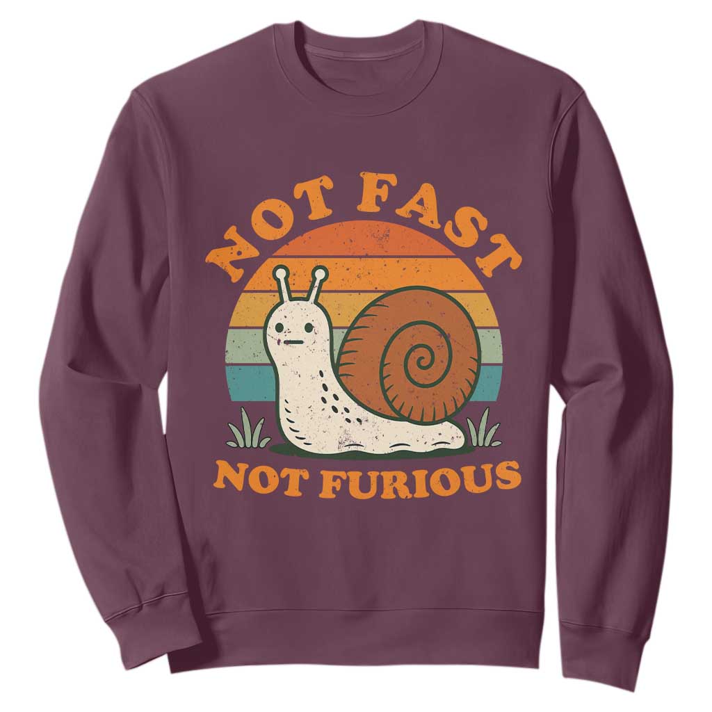 Funny Snail Introvert Slow Living Sweatshirt Not Fast Not Furious Retro Sunset