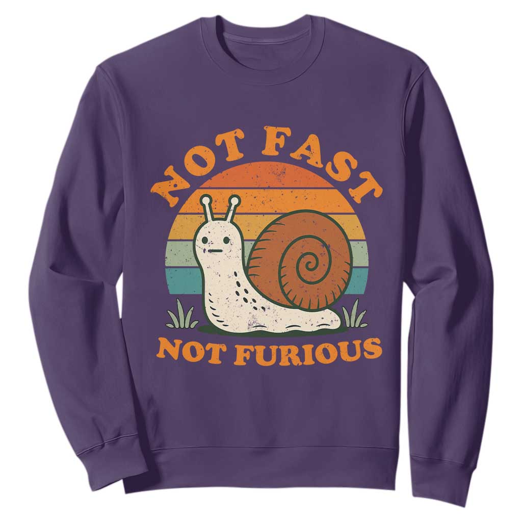 Funny Snail Introvert Slow Living Sweatshirt Not Fast Not Furious Retro Sunset