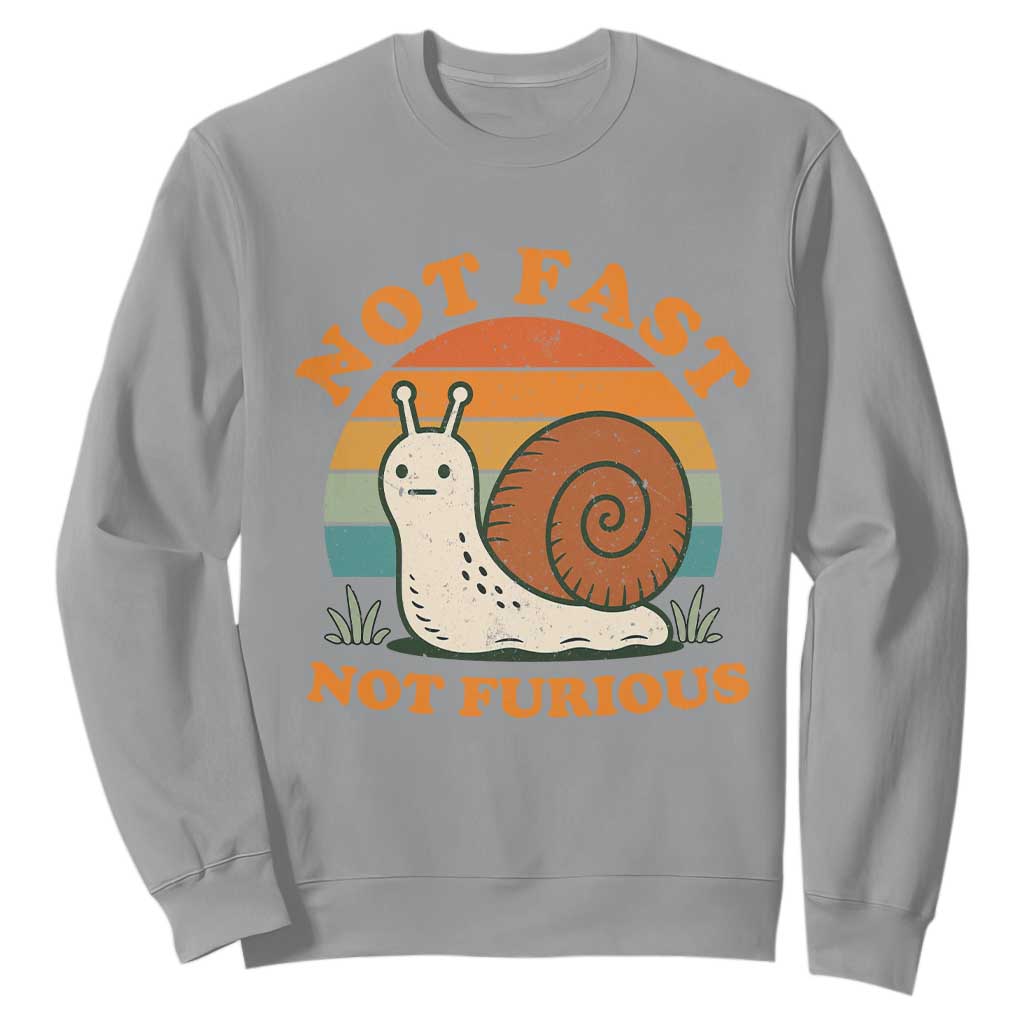 Funny Snail Introvert Slow Living Sweatshirt Not Fast Not Furious Retro Sunset