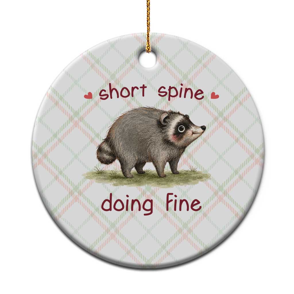 Cute Watercolor Jimothy the Raccoon Inspirational Ceramic Ornament Short Spine Doing Fine Viral Seattle Trash Panda Supporter