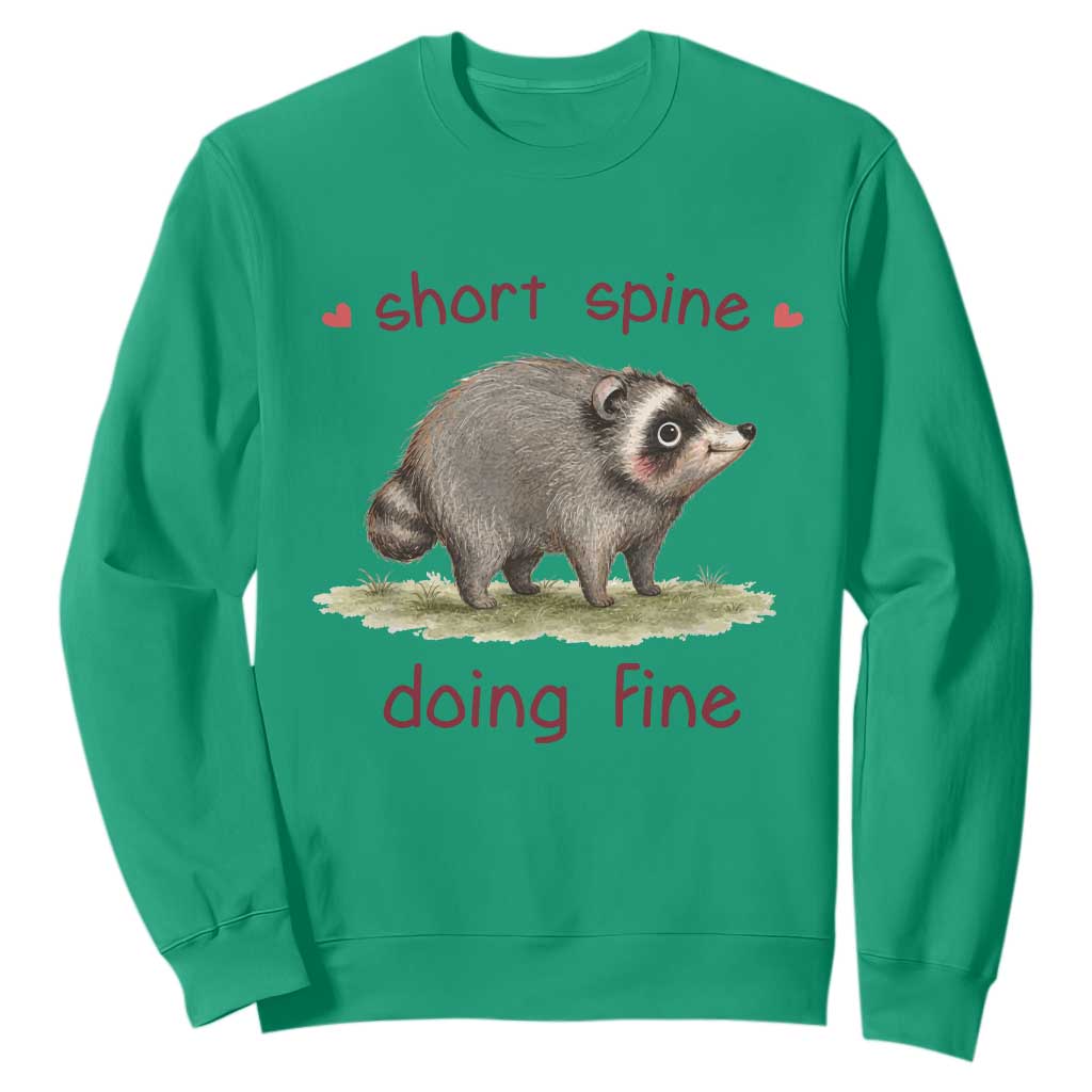 Cute Watercolor Jimothy the Raccoon Inspirational Sweatshirt Short Spine Doing Fine Viral Seattle Trash Panda Supporter