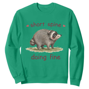 Cute Watercolor Jimothy the Raccoon Inspirational Sweatshirt Short Spine Doing Fine Viral Seattle Trash Panda Supporter