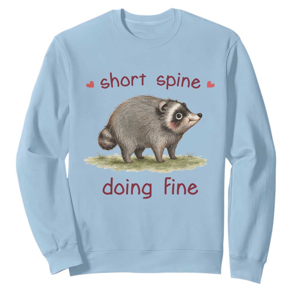 Cute Watercolor Jimothy the Raccoon Inspirational Sweatshirt Short Spine Doing Fine Viral Seattle Trash Panda Supporter