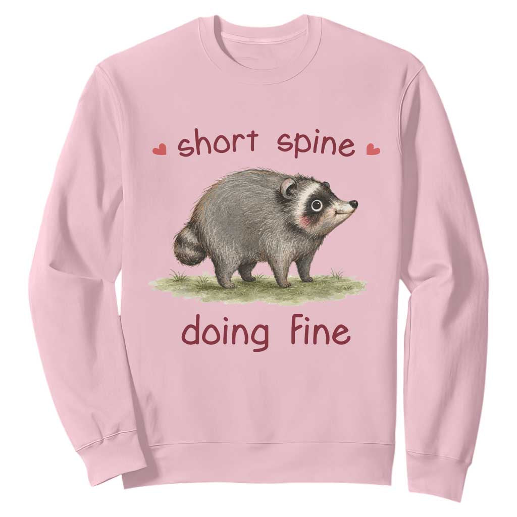 Cute Watercolor Jimothy the Raccoon Inspirational Sweatshirt Short Spine Doing Fine Viral Seattle Trash Panda Supporter