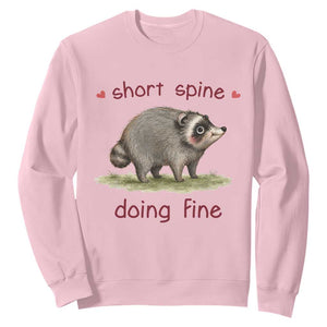 Cute Watercolor Jimothy the Raccoon Inspirational Sweatshirt Short Spine Doing Fine Viral Seattle Trash Panda Supporter