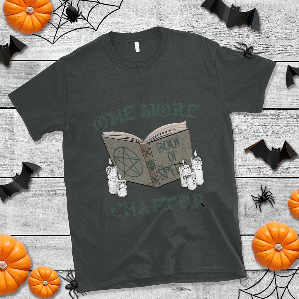 Funny Reading Witch T Shirt Which Witch Is Which TS02 Dark Heather Print Your Wear