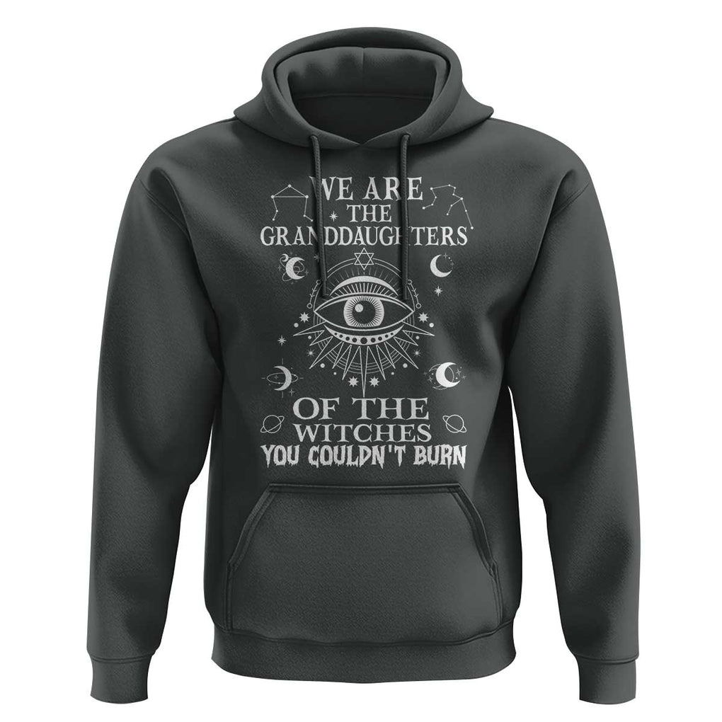 We Are The Granddaughters Of The Witches You Couldn't Burn Hoodie TS02 Dark Heather Print Your Wear