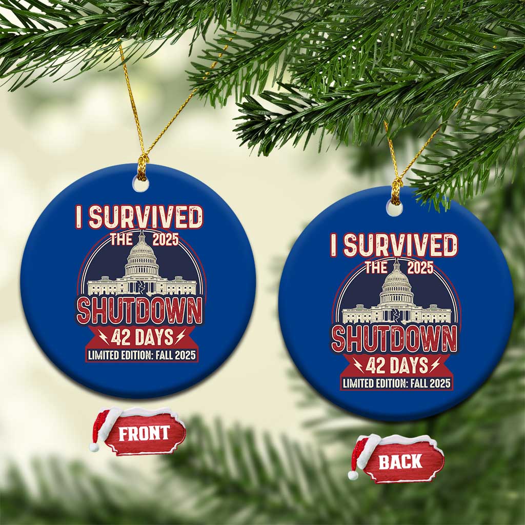 I Survived the 2025 Shutdown Ceramic Ornament Funny Government Closure Parody Political Humor TS02 1pc Blue Print Your Wear