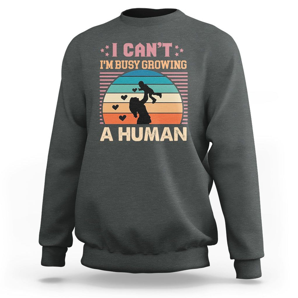 First Mother's Day Sweatshirt I Can't I'm Busy Growing A Human New Mom Vintage TS02 Dark Heather Printyourwear