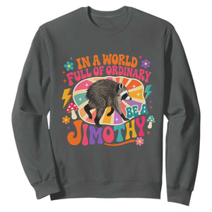 In A World Full Of Ordinary Be A Jimothy Psychedelic Style Sweatshirt Retro Groovy Seattle Raccoon Legend Graphic