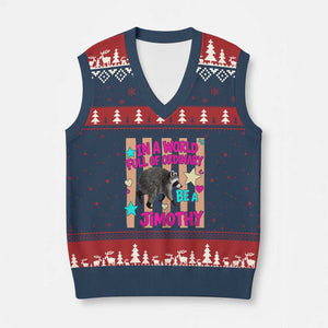 In A World Full Of Ordinary Be A Jimothy Preppy Style V-Neck Knit Sweater Vest Cute Y2K Pop Seattle Raccoon Legend Graphic