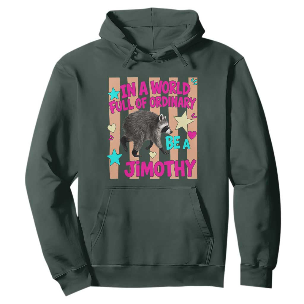 In A World Full Of Ordinary Be A Jimothy Preppy Style Hoodie Cute Y2K Pop Seattle Raccoon Legend Graphic