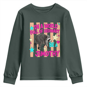 In A World Full Of Ordinary Be A Jimothy Preppy Style Youth Sweatshirt Cute Y2K Pop Seattle Raccoon Legend Graphic