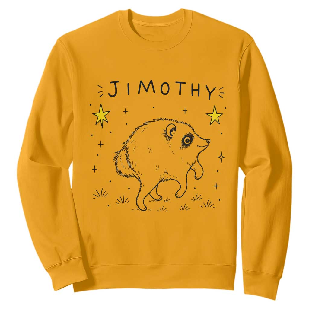 Cute Doodle Starry Jimothy the Raccoon Graphic Sweatshirt Viral Seattle Trash Panda