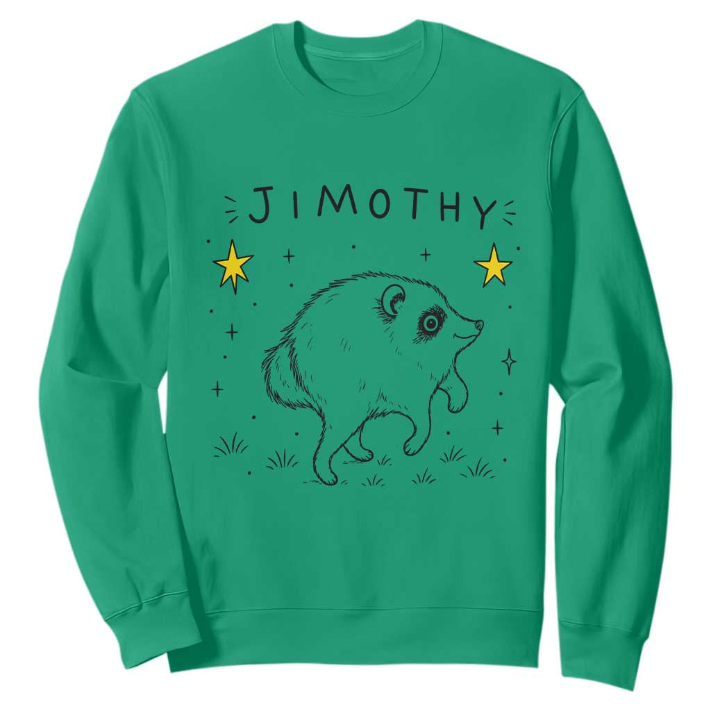 Cute Doodle Starry Jimothy the Raccoon Graphic Sweatshirt Viral Seattle Trash Panda