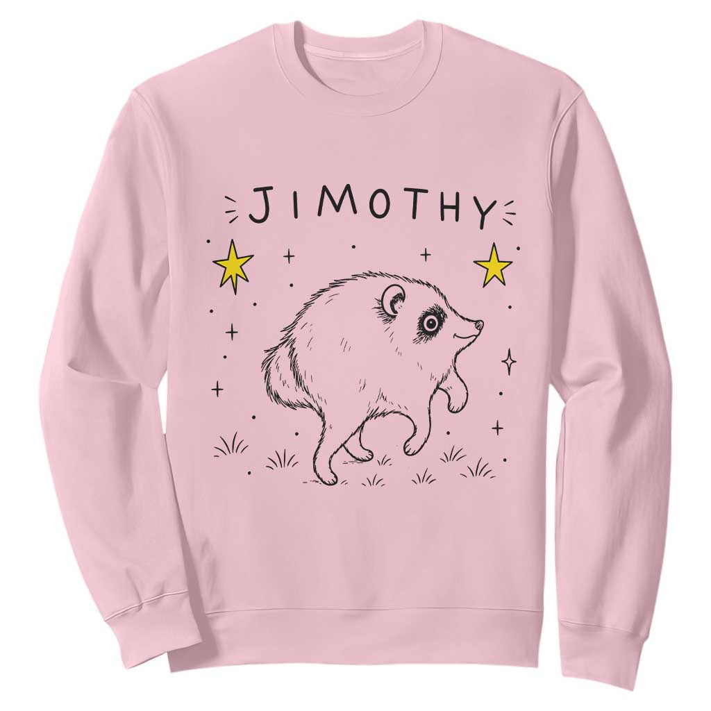 Cute Doodle Starry Jimothy the Raccoon Graphic Sweatshirt Viral Seattle Trash Panda
