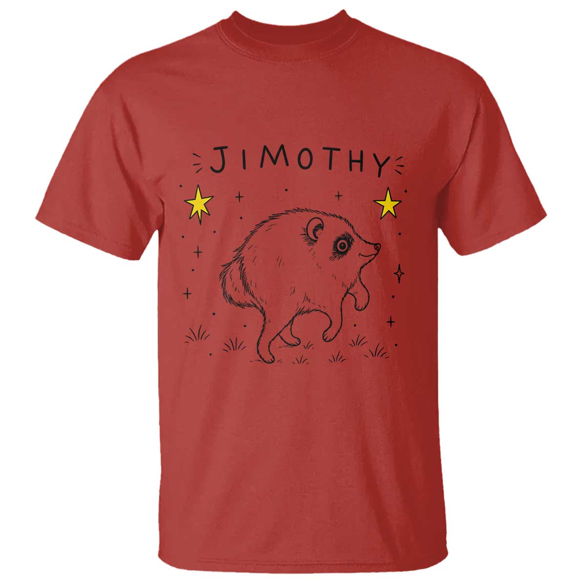 Cute Doodle Starry Jimothy the Raccoon Graphic T Shirt Viral Seattle Trash Panda