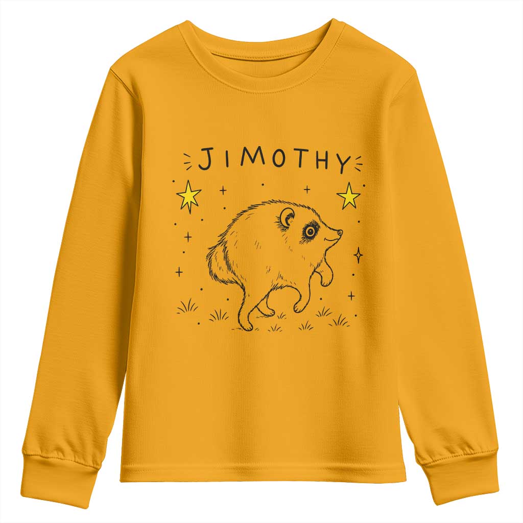 Cute Doodle Starry Jimothy the Raccoon Graphic Youth Sweatshirt Viral Seattle Trash Panda