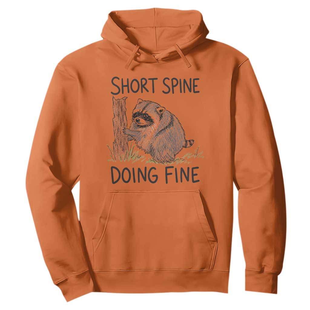 Jimothy Short Spine Doing Fine Inspirational Hoodie Viral Seattle Raccoon Crayon Drawing Graphic