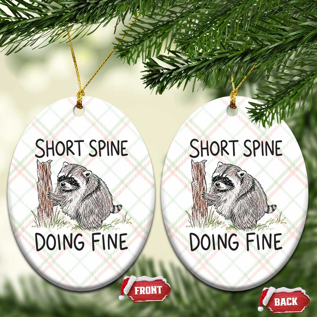 Jimothy Short Spine Doing Fine Inspirational Ceramic Ornament Viral Seattle Raccoon Crayon Drawing Graphic
