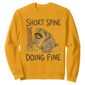 Jimothy Short Spine Doing Fine Inspirational Sweatshirt Viral Seattle Raccoon Crayon Drawing Graphic