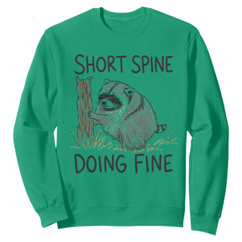 Jimothy Short Spine Doing Fine Inspirational Sweatshirt Viral Seattle Raccoon Crayon Drawing Graphic