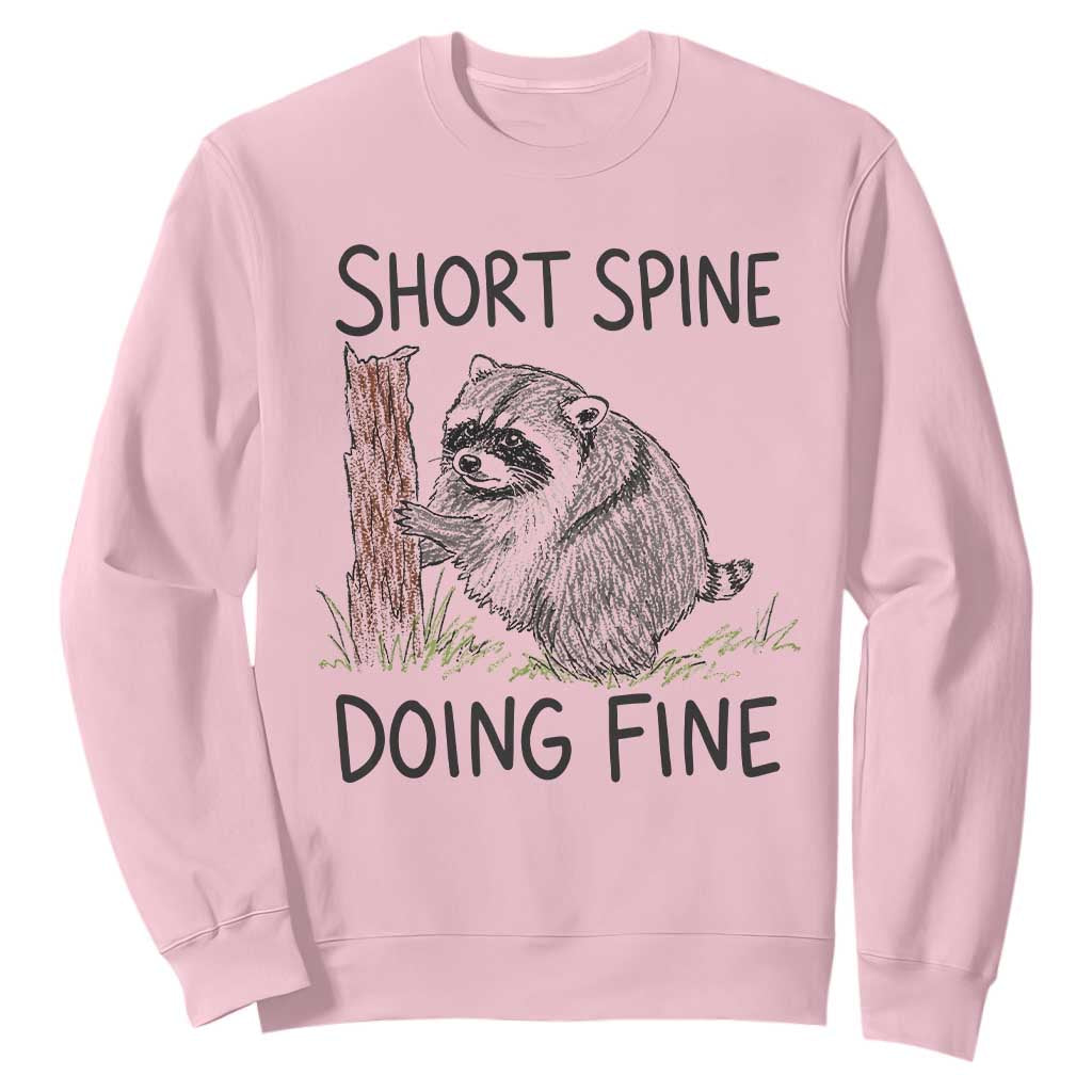 Jimothy Short Spine Doing Fine Inspirational Sweatshirt Viral Seattle Raccoon Crayon Drawing Graphic