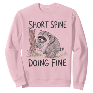 Jimothy Short Spine Doing Fine Inspirational Sweatshirt Viral Seattle Raccoon Crayon Drawing Graphic