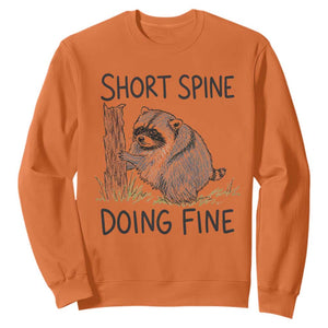 Jimothy Short Spine Doing Fine Inspirational Sweatshirt Viral Seattle Raccoon Crayon Drawing Graphic