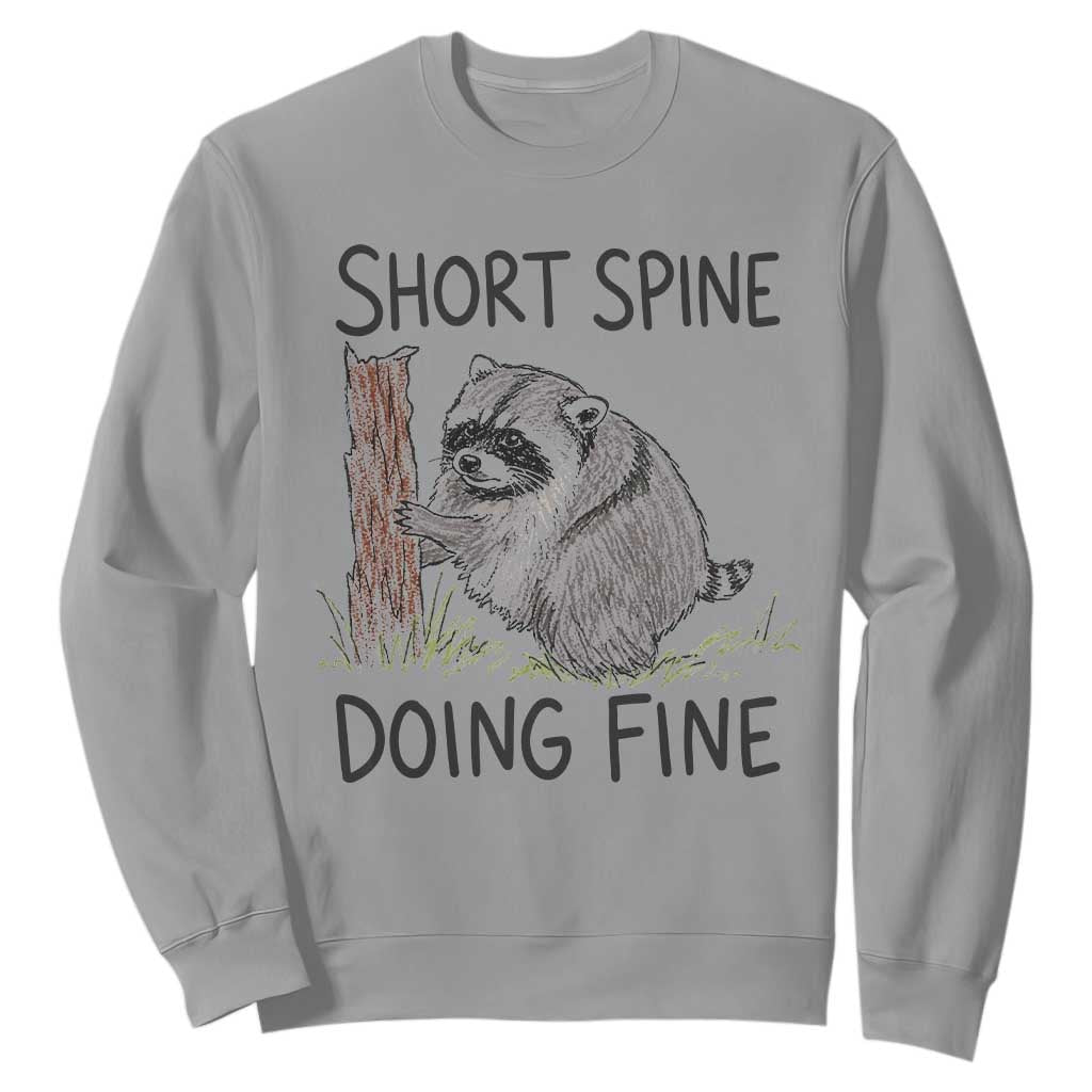 Jimothy Short Spine Doing Fine Inspirational Sweatshirt Viral Seattle Raccoon Crayon Drawing Graphic