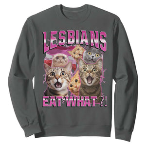 Lesbians Eat What Sweatshirt Funny LGBTQ+ Pride Cats Meme Feline Lover Bootleg TS02 Dark Heather Print Your Wear