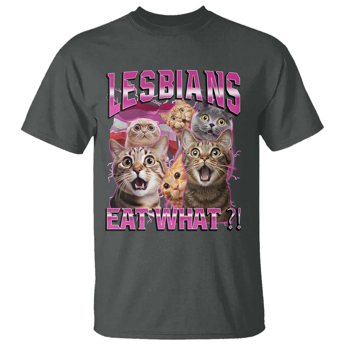Lesbians Eat What T Shirt - Funny LGBTQ Pride Cats Meme Feline Lover Bootleg Humor Tee TS02 Dark Heather Print Your Wear