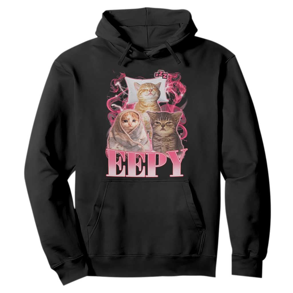 Eepy Sleepy Cats Y2K Bootleg Meme Graphic Hoodie Funny Internet Culture Humor TS02 Black Print Your Wear