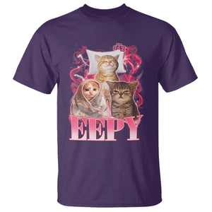 Eepy Sleepy Cats Y2K Bootleg Meme Graphic T Shirt Funny Internet Culture Humor